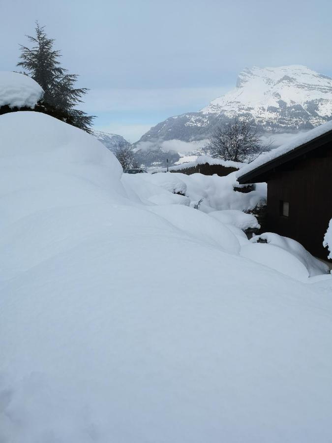 Le Petit Chamois
